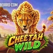 Cheetah Wild icon