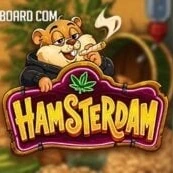 Hamsterdam icon
