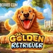 Golden Retriever icon