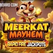 Meerkat Mayhem icon