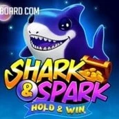 Shark & Spark icon