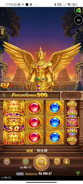 fortune garuda 500