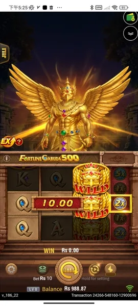fortune garuda 500
