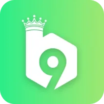 b9 logo