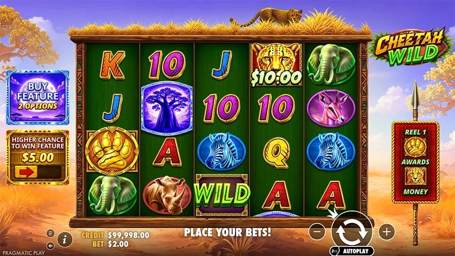 Cheetah Wild base game