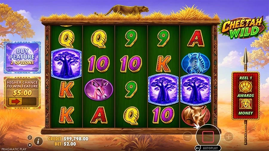 Cheetah Wild feature screen 1