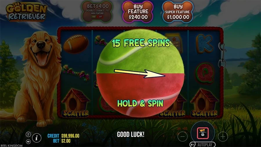 Golden Retriever feature screen 1