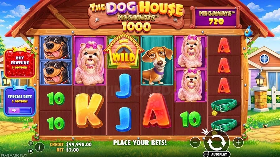 The Dog House Megaways 1000 base game